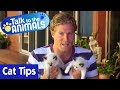 🐱 Dr Chris Brown’s Best Cat Tips | Talk To The Animals