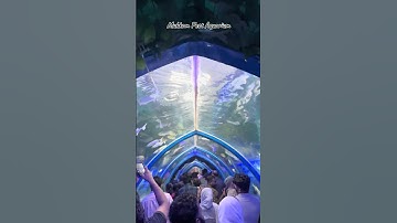 Mukkam Fest; Aquarium - Part 3 (4K ULTRAHD HDR10+ 60FPS)