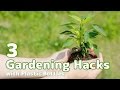 ペットボトル菜園！３つの再利用工作/3 gardening hacks with plastic bottles/プランターや水やり、スコップまで