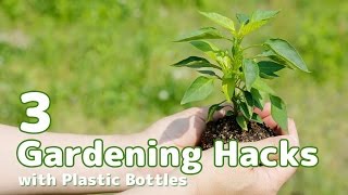 ペットボトル菜園！３つの再利用工作/3 gardening hacks with plastic bottles/プランターや水やり、スコップまで