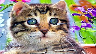 Süßes Katzen und Welpen Puzzle | Magic Cat Puzzle & Dog screenshot 5