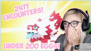 INSANE Shiny Galarian Zigzagoon! 2477 Encounters, less then 200 eggs! Live Reaction!