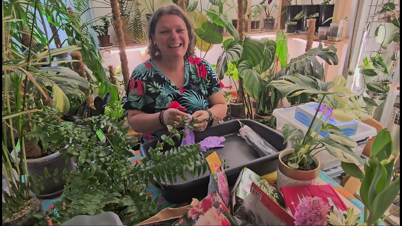 ЭКЗАМЕН НА ЭКРАНЕ