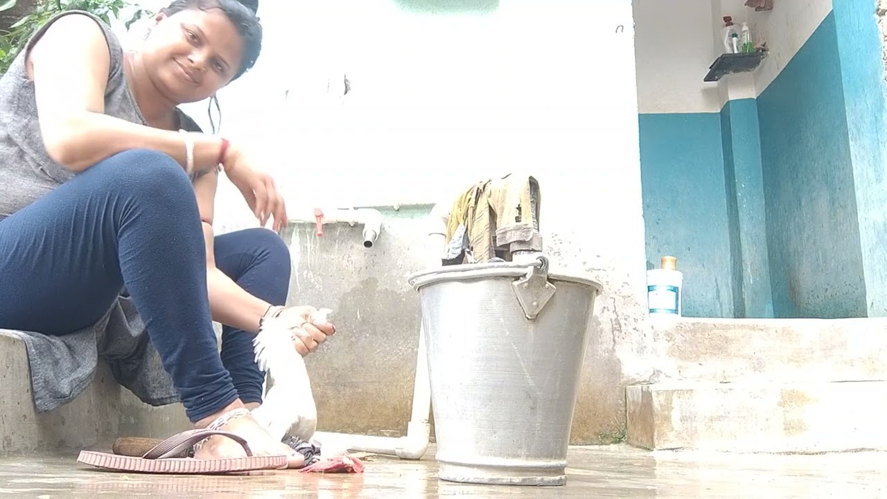 দেশি মুরগির গোলা কাটা ভিডিও //Due to internet issues, I am unable to upload videos or live stream.