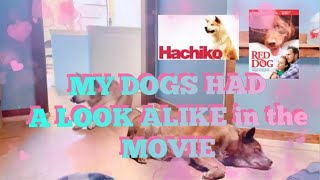 My Dogs Had a Look Alike in the Movie | Simply Ena