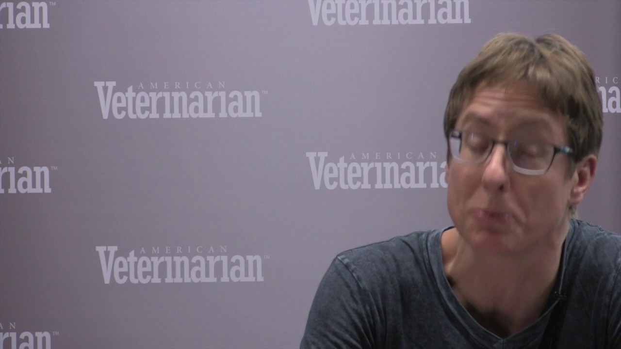 Top Differentials for Cats In Acute Respiratory Distress