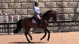 Estelle flatwork take 2
