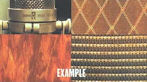 For Squirrels - 8:02 PM