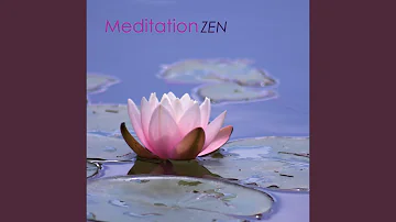 Learn to Meditate - Natural Soundscapes