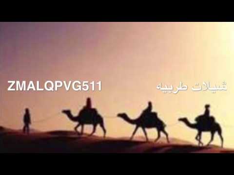 شيلة بدو بدو ي معشر الجمال حماس طرررب بطئيه آداء الجفراني 