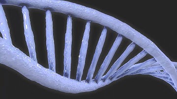 Ice DNA - Trapcode Tao