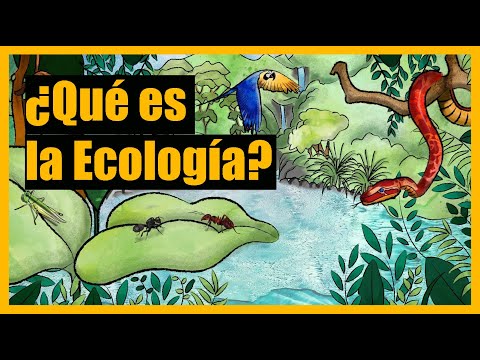 Vídeo: Què és La Geoecologia