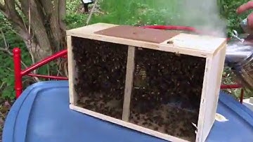 BeeKeeping 101  part 1 of 4 part series