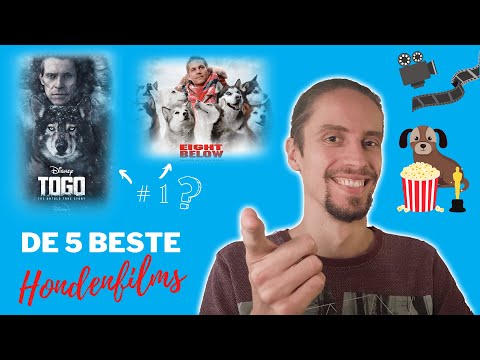 Video: De beste hondenfilms van 2018