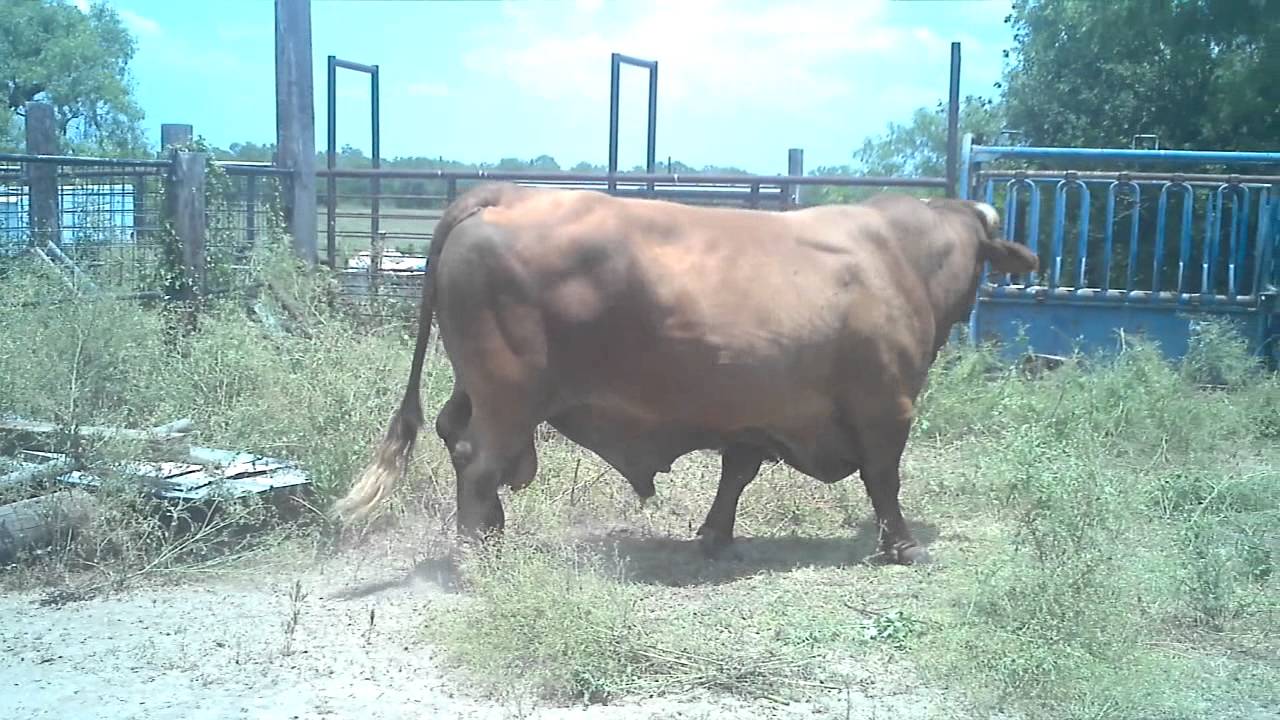 2012-06-09-12-51-49-679-youtube