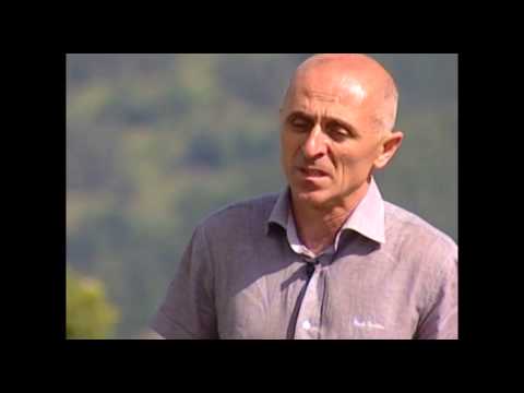 ველოტური