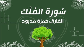 The Koran is a beautiful voice تلاوة رائعة تهتز لها القلوب سورة الملك