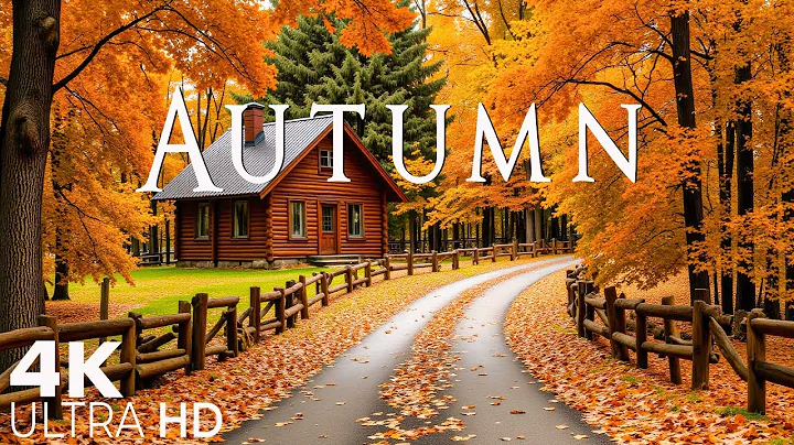 4K Video UHD 🍂Enchanting Autumn Forests with Beautiful Piano Music🍂4K Autumn Ambience & Fall Foliage