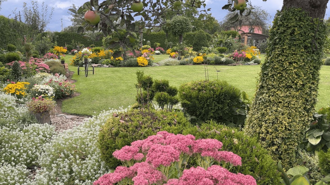 ЩО ЗРОБИТИ, щоб сад ЗАВЖДИ БУВ ПИШНИМ?