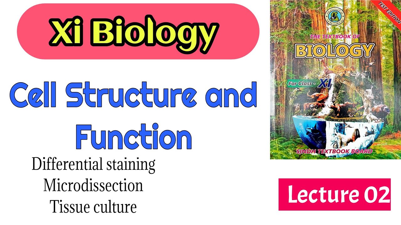 Differential staining Microdissection Tissue culture in sindhi / IBA junior science teacher