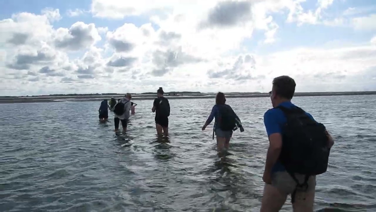Wattwanderung von Norddorf auf Amrum zu Dunsum auf Föhr