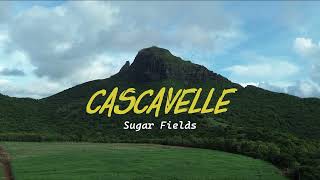 CASCAVELLE sugar fields in Mauritius (drone flight)