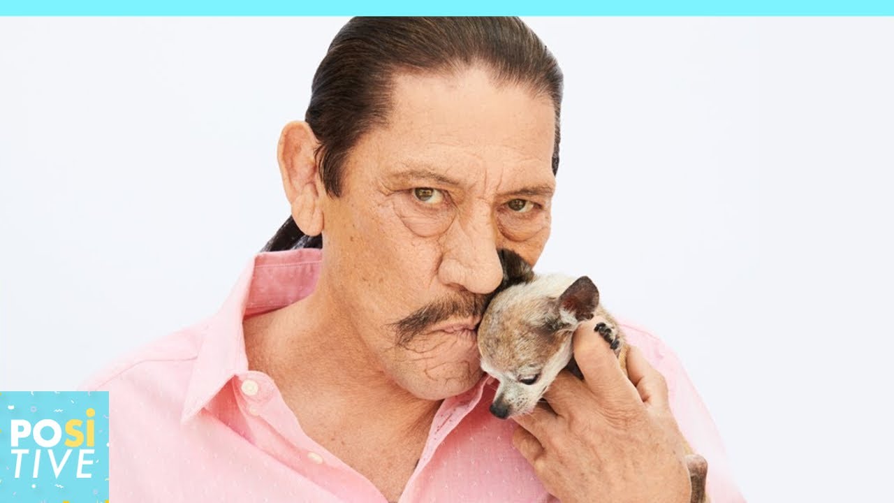 This is how Machete feed his chihuahua and many people aren’t happy | Positive