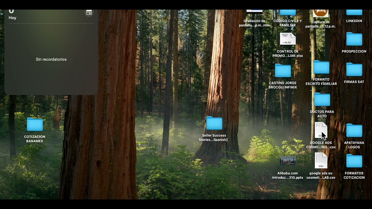 SEO AUDITORIA MANUFACTURER BULK SHAMPOO AMERA LAB PARA ALIBABA ESTADOS UNIDOS