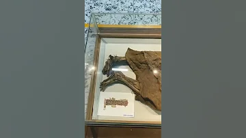 THIS IS A REAL MUMMY EGYPT 