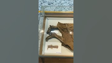 THIS IS A REAL MUMMY#EGYPT