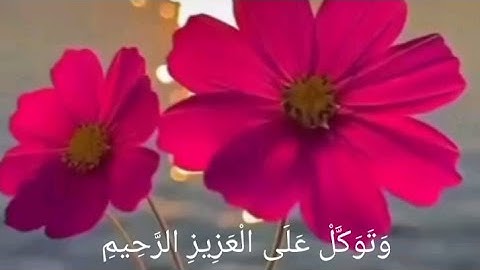 وَتَوَكَّلْ عَلَى الْعَزِيزِ الرَّحِيمِ / تلاوت القران الكريم/ آيات سورة الشعراء 