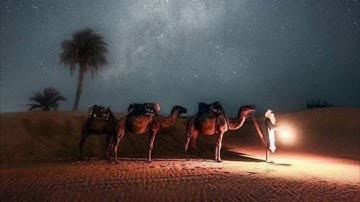 سورة الغاشية "أَفَلَا يَنْظُرُونَ إِلَى الْإِبِلِ كَيْفَ خُلِقَتْ".