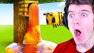 World's MOST Viewed Minecraft TikToks EVER