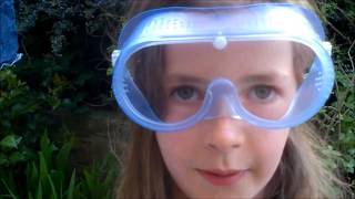 Worm Experiment