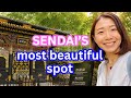 Sendai livestream with my father
