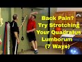 Back Pain? Try Stretching Your Quadratus Lumborum (7 Ways)