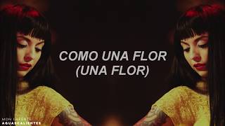 Video thumbnail of "Mon Laferte - Cuando Era Flor (En Vivo/Letra)"