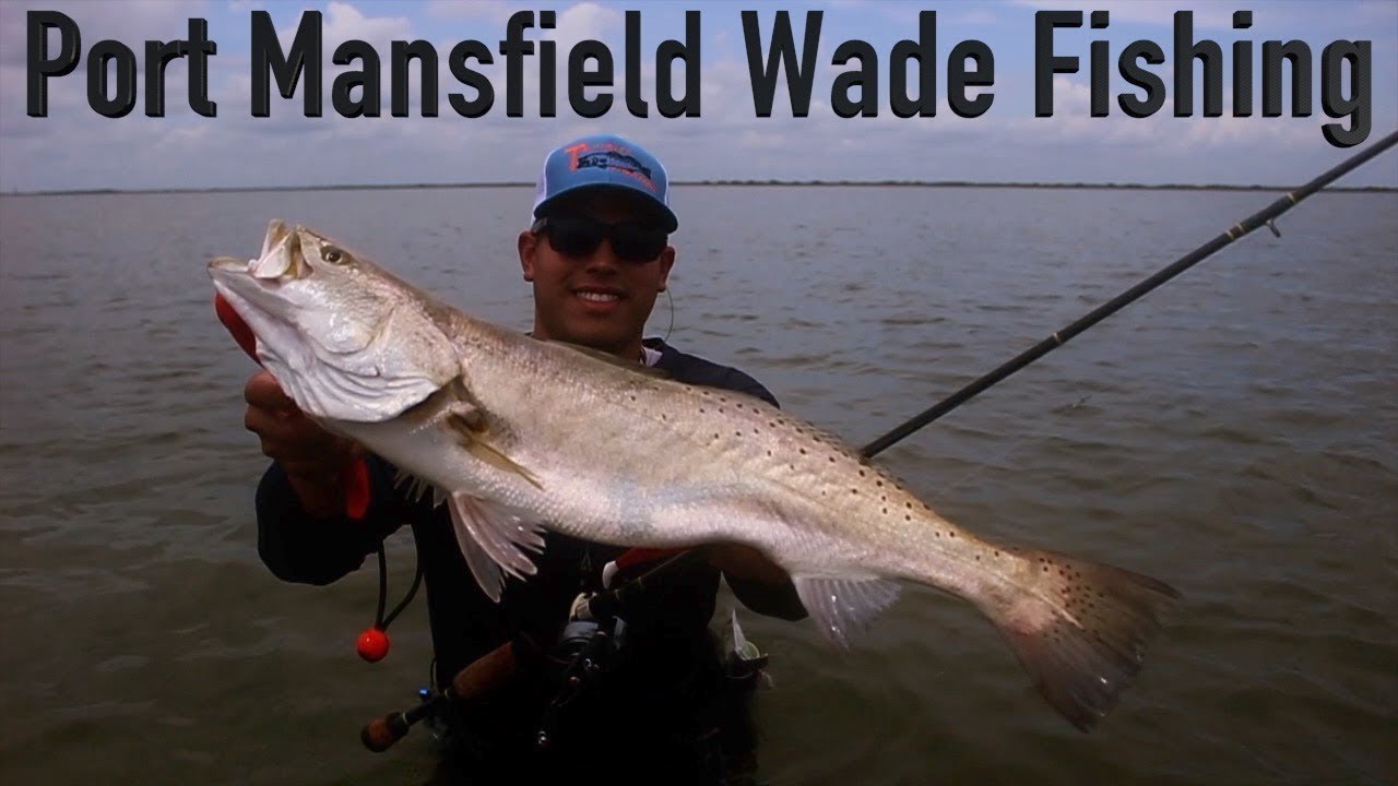 Port Mansfield Wade Fishing!! *TWILIGHT CHARTERS* YouTube