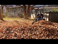 Easy leaf clean up - cleaning up leaves with a mower - lawn mowing leaf clean up