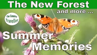 Summer Memories in The New Forest and more ... 😀 #leavenotrace