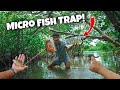 MICRO FISH TRAP Catches TROPICAL AQUARIUM FISH!!