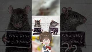 Download Lagu I Investigated the BIZARRE TRIAL in France and Here's What I Found MP3