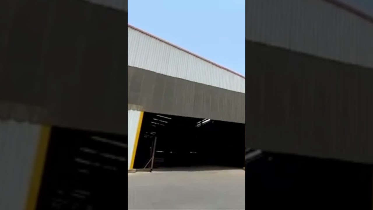 ZA Tanks by DPL Star