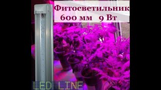 LED фитосветильник 600 мм для растений