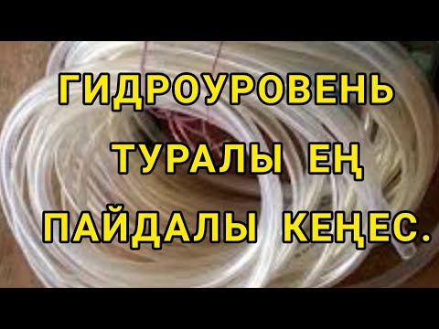 Бейне: Поэзияда бейнелеу қалай қолданылады?