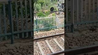 Safar #india #masti #viral #travel #video #train #trending #view