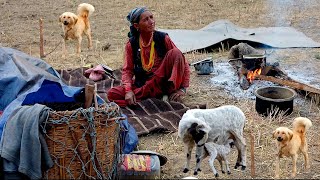 Himalayan Sheep Shepherd life || shepherd food cooking -Ep.9|| peaceful Nepali shepherd lifestyle