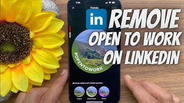 How to Remove ‘Open to Work’ Frame on LinkedIn