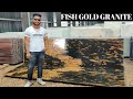 FISH GOLD GRANITE, GOLD GRANITE, ALASKA GOLD GRANITE, PRICE@60RS/SQFT, 8824171987, THICKNESS@17-18MM