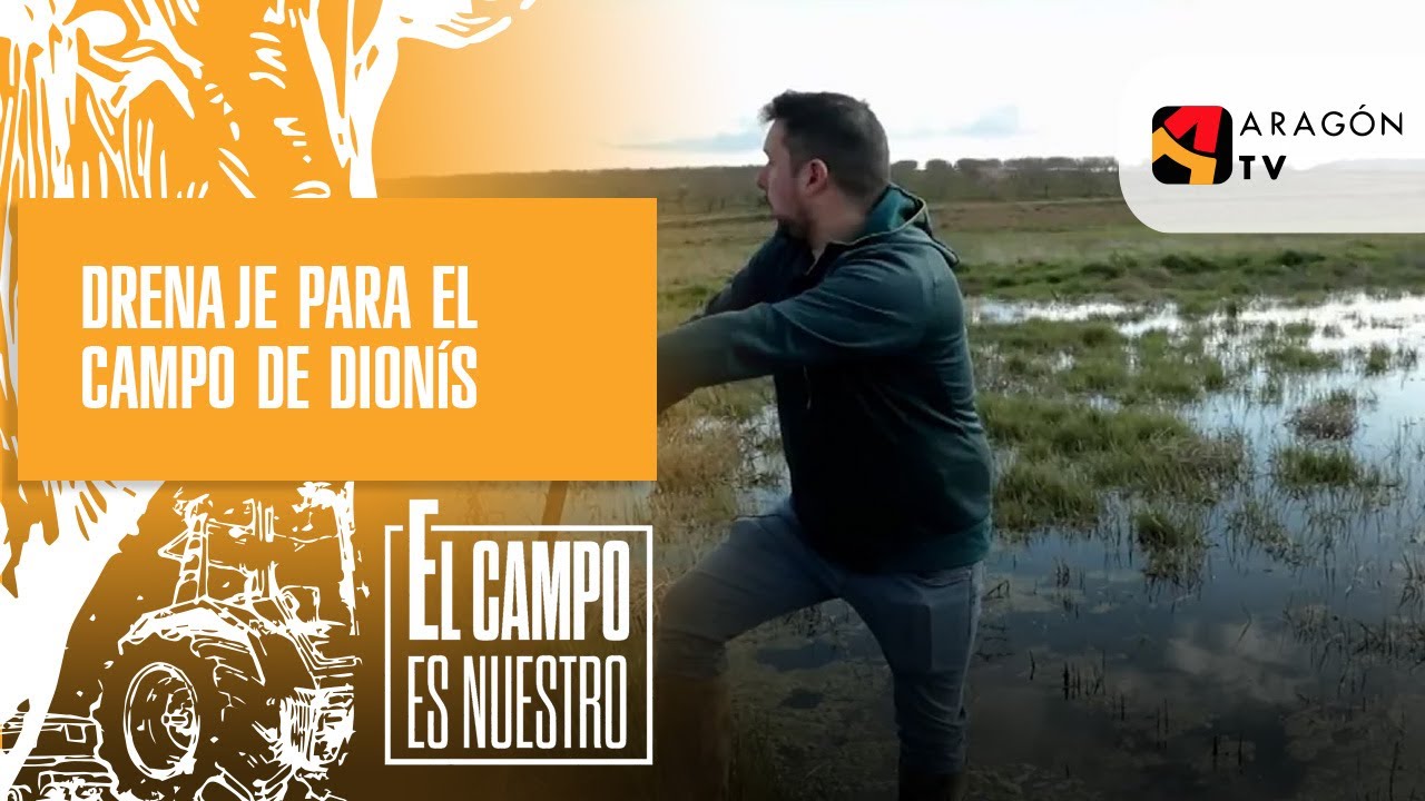 El campo de Dionís estaba inundado y lo prepara para poner un caño de drenaje.